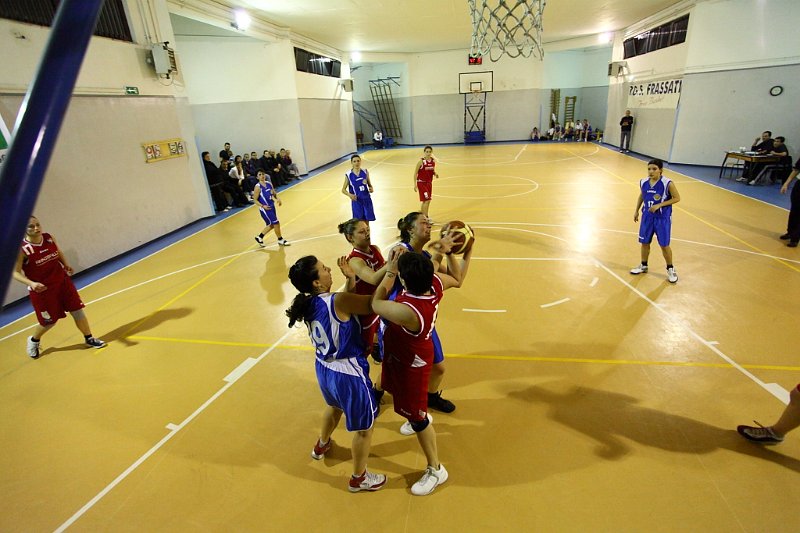 Basket 443088